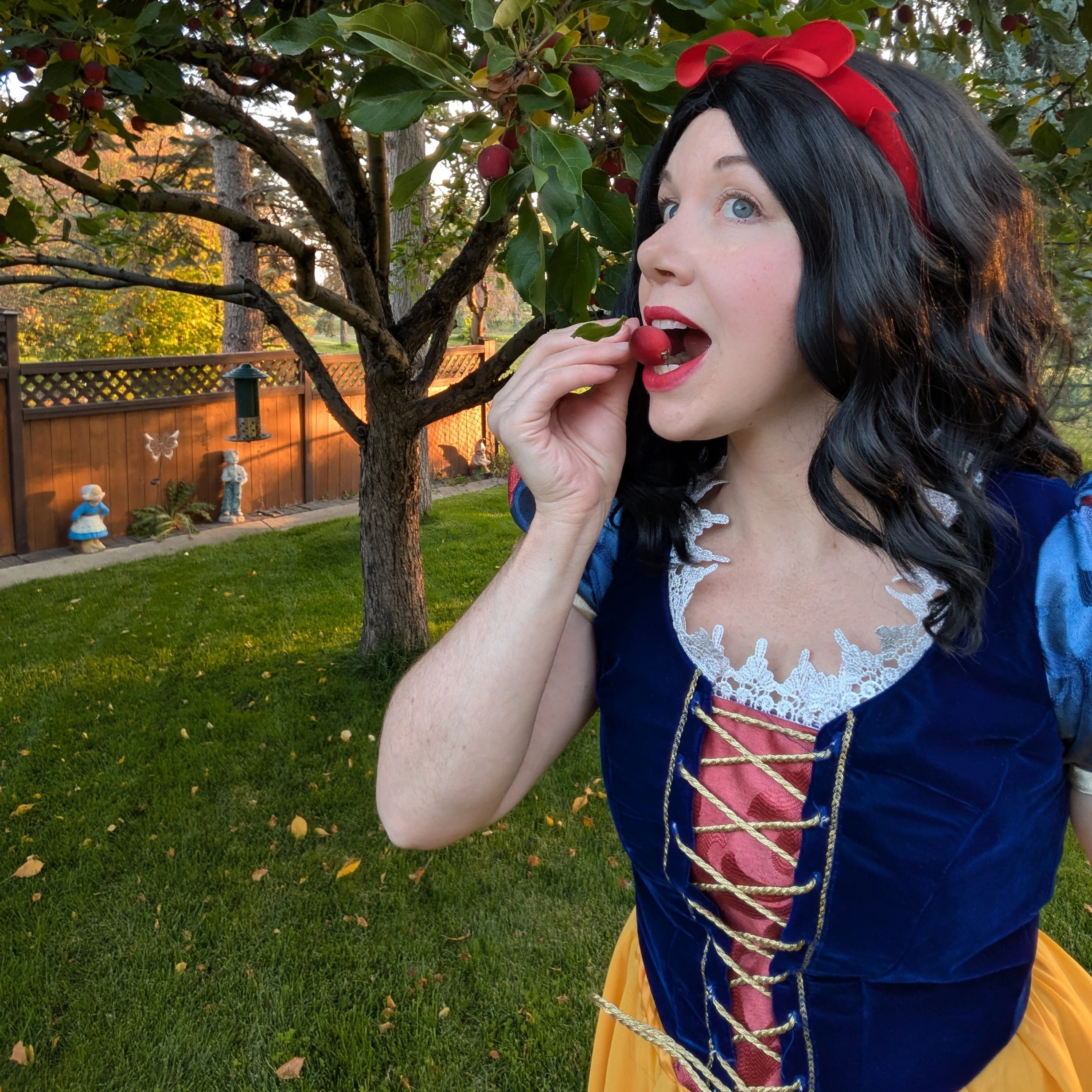 Pixies
			
			  
			  Parties